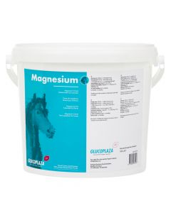 Magnesium paard 